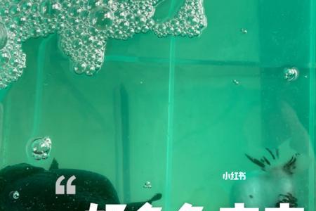 新鱼到家几天恢复状态