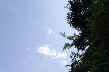 东走走西逛逛文雅说法