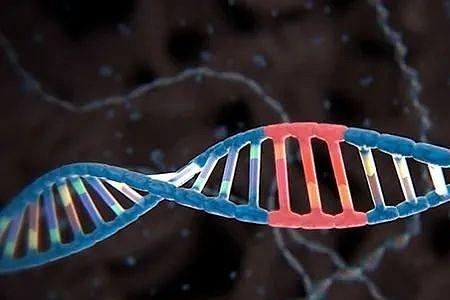 人的基因里不表达的基因叫什么