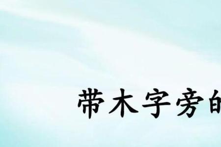木字旁右边一个名念啥