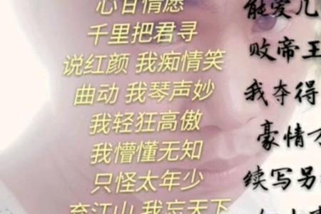 代表情侣的词
