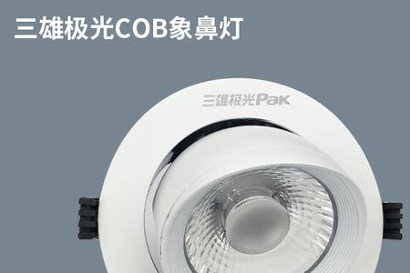 三雄极光射灯怎么拆