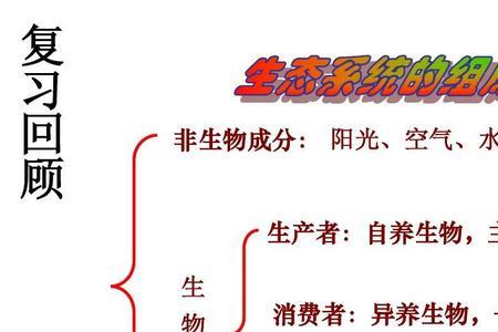 自养生物和异养生物的概念