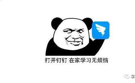 钉钉找不到黄脸表情包了怎么办