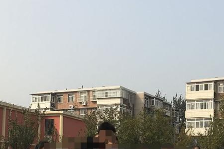 天津东丽区弘毅中学怎么样