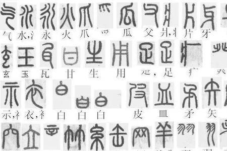 数的金文