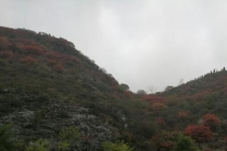 陟椒怎样读