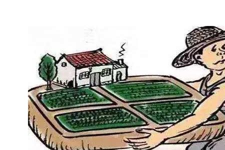 国有土地自建房政策