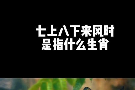 七上八下来风时代表什么生肖