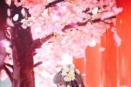 备注花嫁什么意思