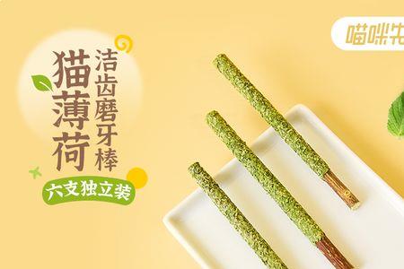 虫瘿果和猫薄荷哪个吸猫更好