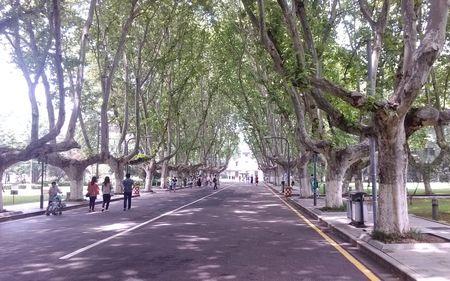 东南大学别称