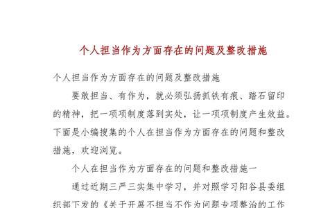 责任担当不够整改措施