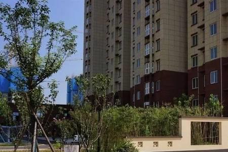 洛阳伊滨区非农户口安置政策