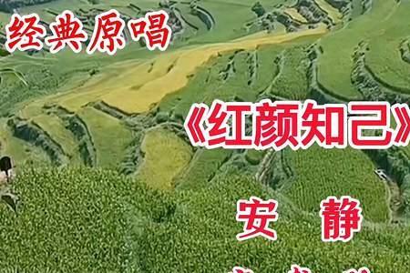 歌曲红颜知己原唱多少年