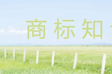 商标注册的大类与小类有何区别