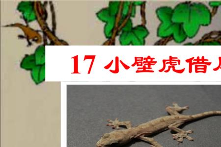 一只壁虎没尾巴什么成语