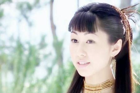 大唐双龙传卫贞贞扮演者