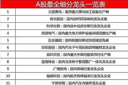怎么形容行业龙头