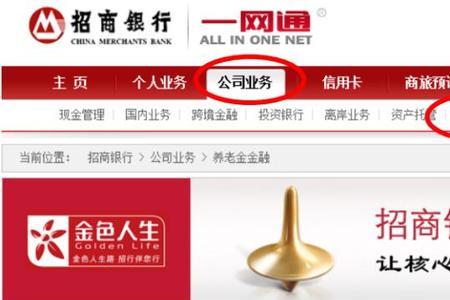 企业年金怎么查询