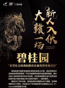 碧桂园有几家公司