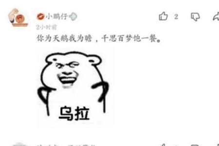 老乌龟的藏头诗