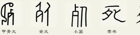 都的甲骨文