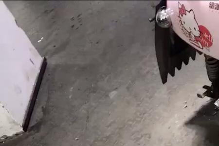 电动车电机过载会烧坏吗