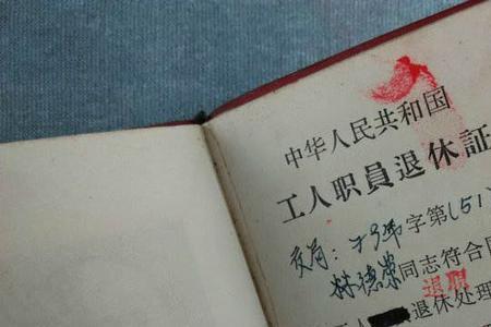 退休类别02代表什么