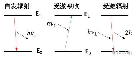 组织能级概念