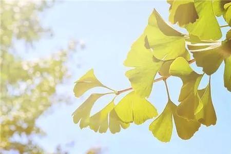 岁月悄然流逝是什么意思