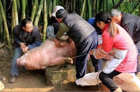 为什么农村杀猪要烧纸