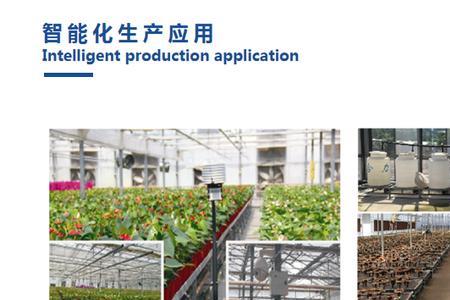 东莞托普兔控股有限公司
