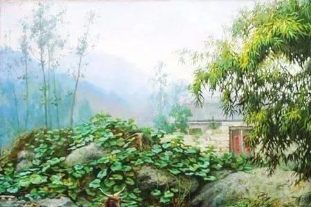 朴素无华与质朴无华的区别