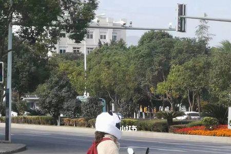 春风狒狒没油还能跑多远