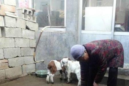 放粮食的圈叫什么