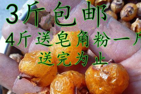 用皂角夹怎样做香皂