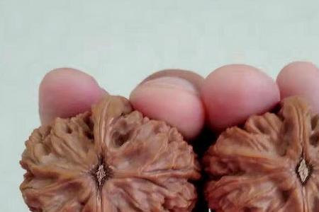 水龙核桃是什么品种