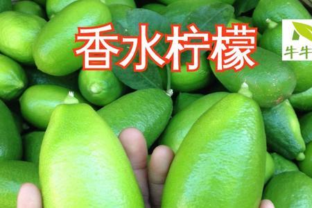 香水柠檬和安岳柠檬哪个好
