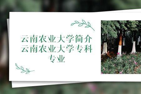 云南农业大学适合女生的专业