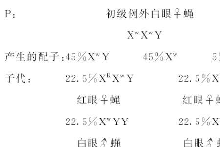 四倍体什么意思
