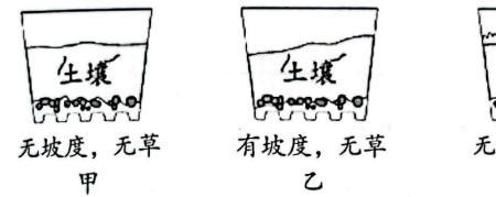 模拟雨水对土壤的侵蚀实验记录