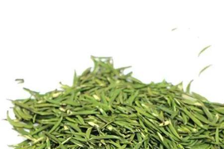 金山花茶是什么品种