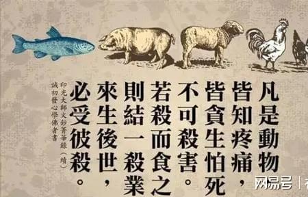 人杀生有罪吗