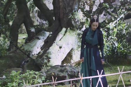 与君初相识谷主为何对待云禾