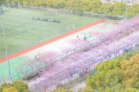 同济大学都市院好不好
