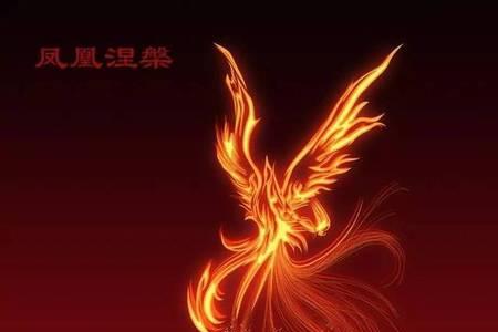 凤凰什么颜色