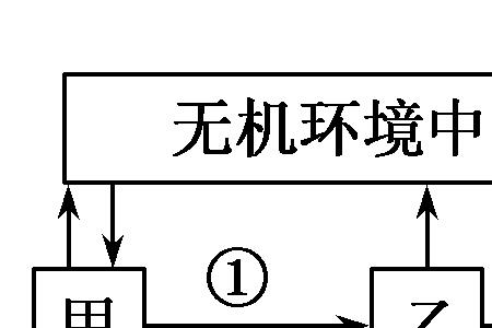 呼吸链的两种类型