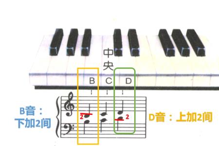 钢琴高低音分布