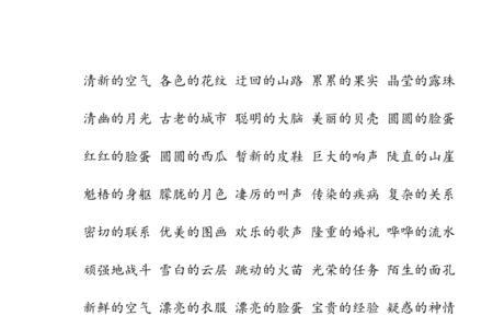 担当的搭配的词语